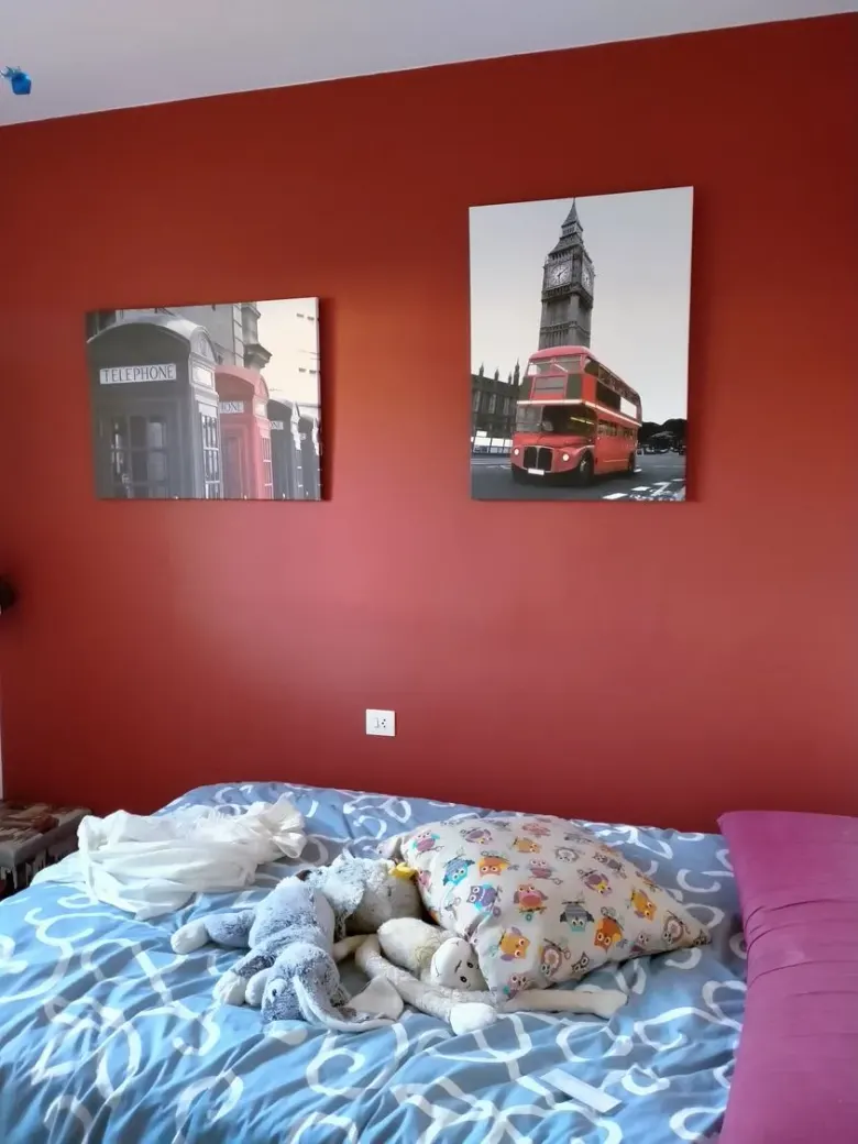 Imagen publicada por Girona Pintors – Façanes i pintura